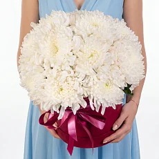 15 Хризантем в коробке