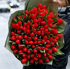 101 Красный Тюльпан в пленке