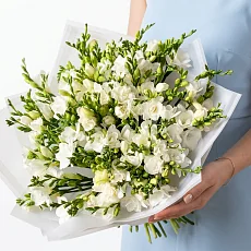 35 белых фрезий