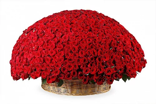 Корзина розы 1001