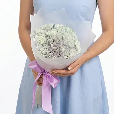 15 Голубых Гвоздик в упаковке