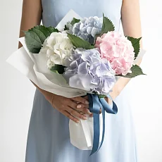 5 Нежных Гортензий