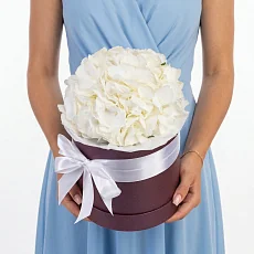 Композиция из Гортензий в коробке