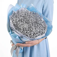 7 Серебрянных Гипсофил