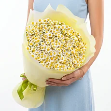 13 Кустовых Ромашек в упаковке