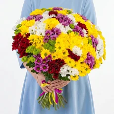 51 Кустовая Хризантема Ромашка Микс