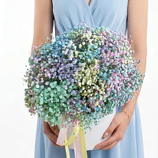 Композиция из 35 радужных гипсофил