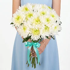 15 Игольчатых Хризантем