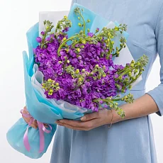 19 Фиолетовых Маттиол в упаковке