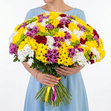 101 Кустовая разноцветная хризантема