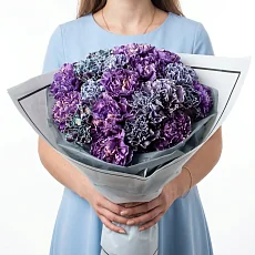 21 Серо-Фиолетовая Гвоздика в упаковке
