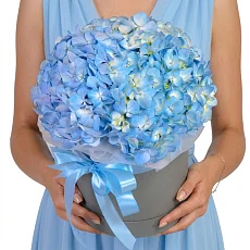 3 Голубые Гортензии в коробке