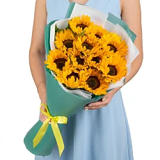 11 подсолнухов