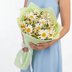 21 Ромашка Микс в упаковке