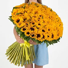 101 Подсолнух