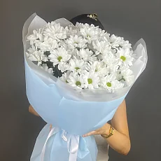 Букет из 7 кустовых хризантем