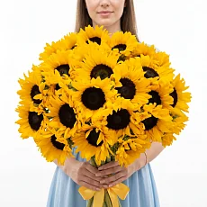 29 Подсолнухов