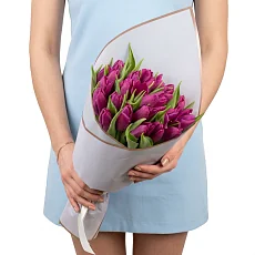 25 Ярких Сиреневых тюльпанов