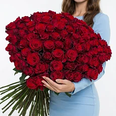Букет из 101 Элитной розы Explorer (Эквадор)