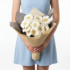 11 Белых Гербер в упаковке