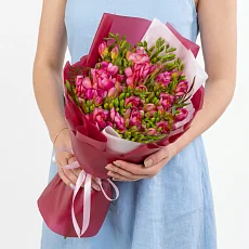 25 Малиновых Фрезий в упаковке