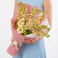 11 Кремовых Маттиол в упаковке