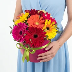 9 Гербер Микс в коробке