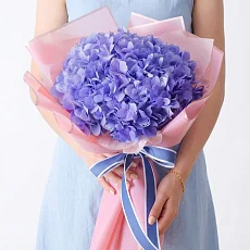 Синяя Гортензия