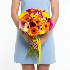 25 Гербер Микс