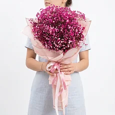 31 Розовая Гипсофила