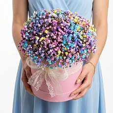 Гипсофила разноцветная в шляпной коробке