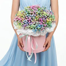 Радужная гипсофила в розовой коробке