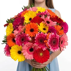 35 Разноцветных Гербер