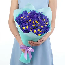 19 Ирисов в упаковке