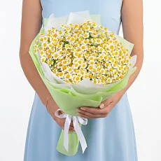 Букет кустовых ромашек в упаковке