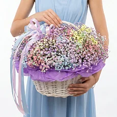 Корзина с гипсофилой ️