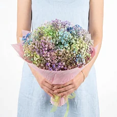 Букет "11 Разноцветных Гипсофил"