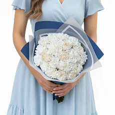 21 белая гвоздики