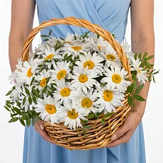 35 Крупных Ромашек в корзине