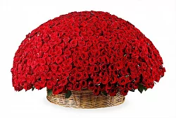 Корзина розы 1001