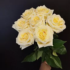 7 Пионовидных роз (Эквадор) 