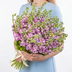 45 Розовых Маттиол