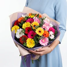 25 Разноцветных Гербер