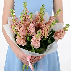 Букет "11 Светло-Коричневых Маттиол"