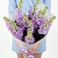 Букет "11 Сиреневых Маттиол"