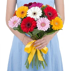 19 Разноцветных Гербер