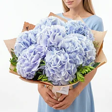 7 Небесных Гортензий