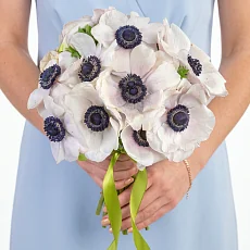Букет невесты из 11 белых анемонов