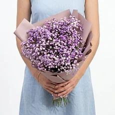 Букет "9 Сиреневых Гипсофил"
