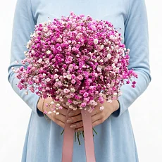 Свадебная розовая гипсофила